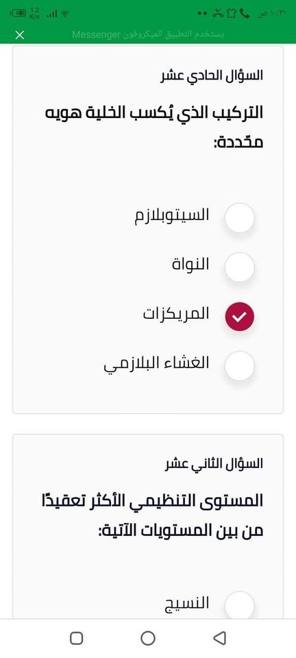 صورة