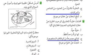 معظم المعلومات الوراثية للخلية الحيوانية موجودة في ؟