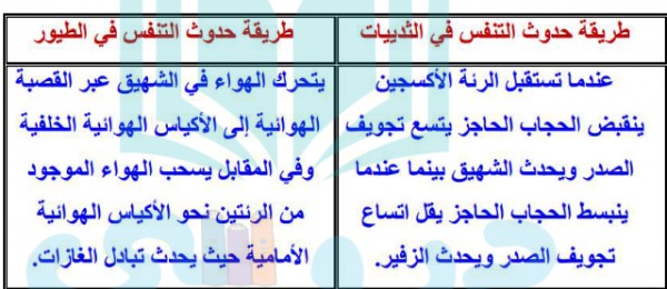 من خصائص الثدييات