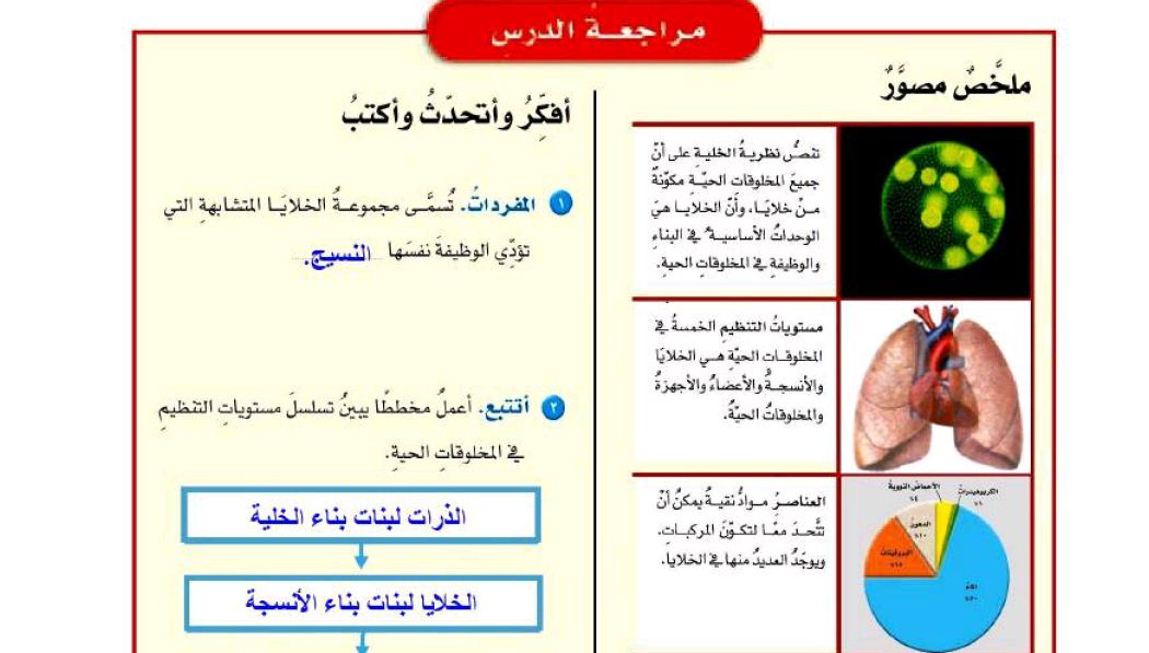 مجموعة الخلايا المتشابهة التي تؤدي الوظيفة نفسها تسمى