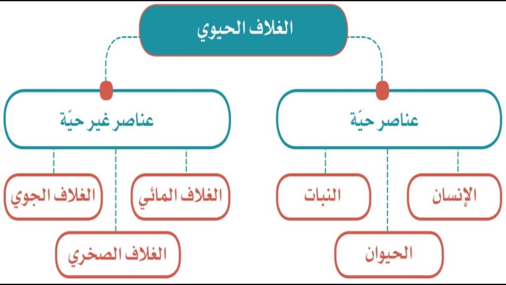 الجين الذي تظهر فية الصفة يسمى بالعامل السائد