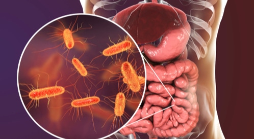 ما هي البكتيريا النافعة وأهميتها في الجسم؟  ويب الطب