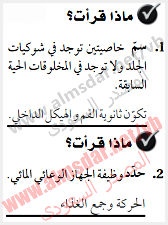 المعرفة الأساسية بشوكيات الجلد واللافقاريات الشوكية