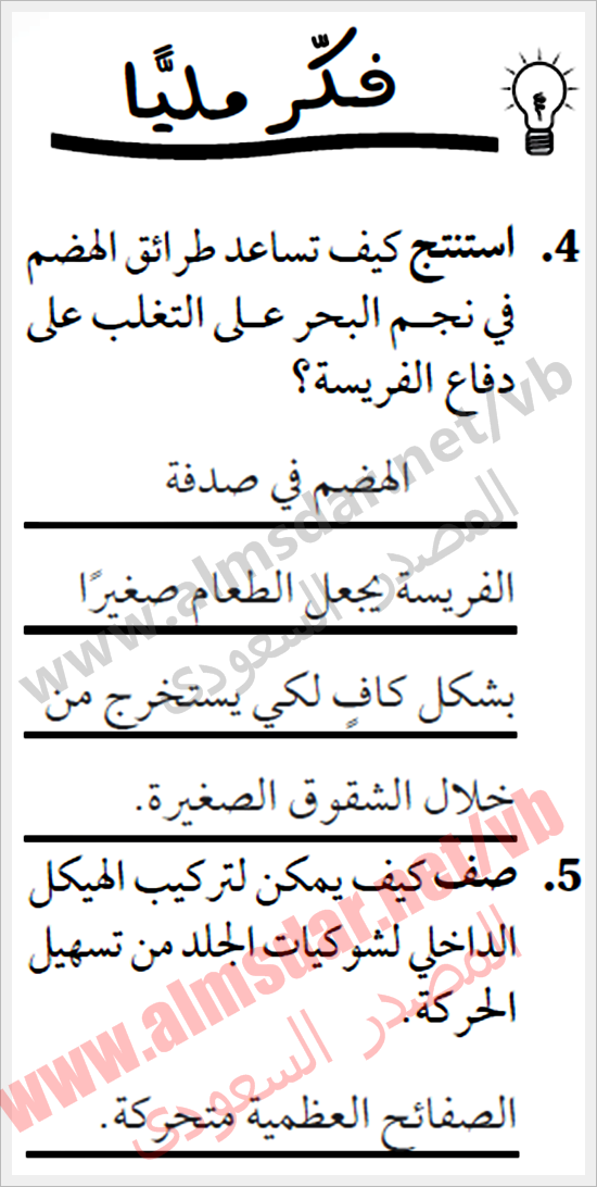 المعرفة الأساسية بشوكيات الجلد واللافقاريات الشوكية