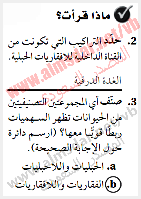 المعرفة الأساسية بشوكيات الجلد واللافقاريات الشوكية