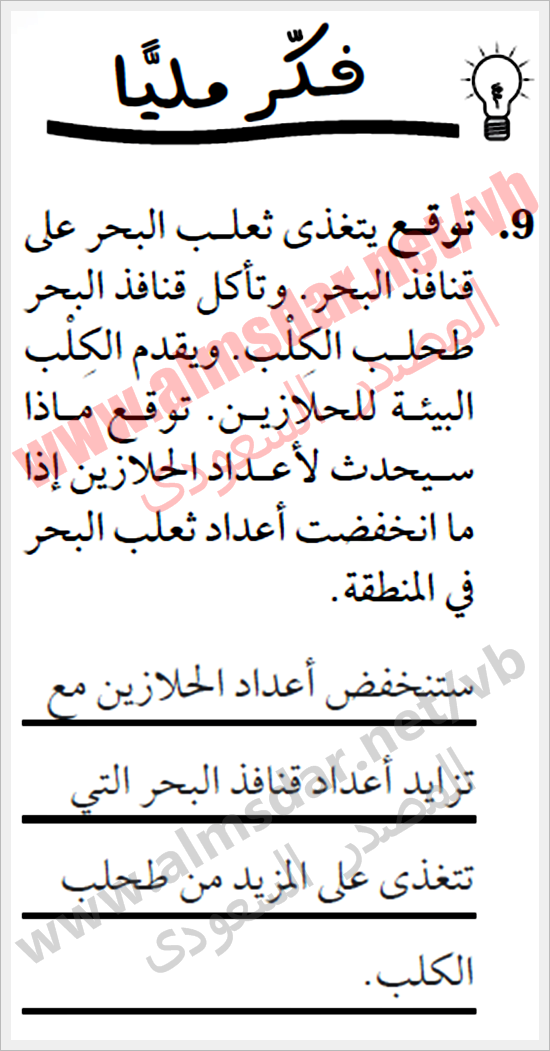 المعرفة الأساسية بشوكيات الجلد واللافقاريات الشوكية