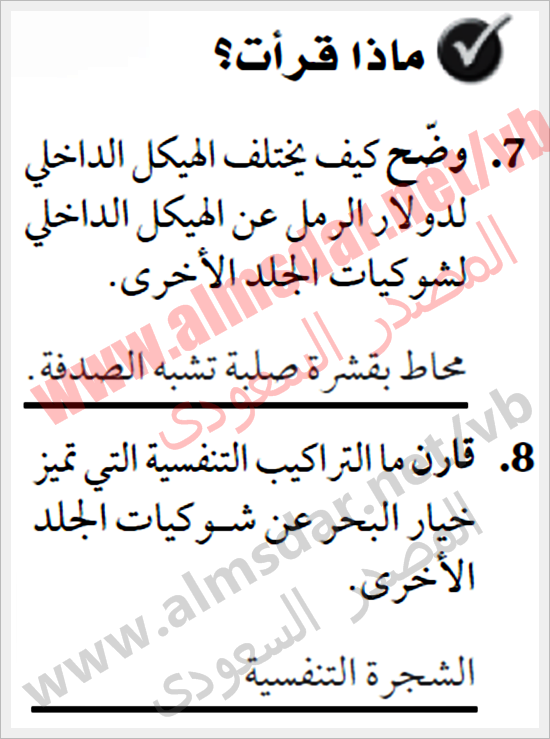 المعرفة الأساسية بشوكيات الجلد واللافقاريات الشوكية