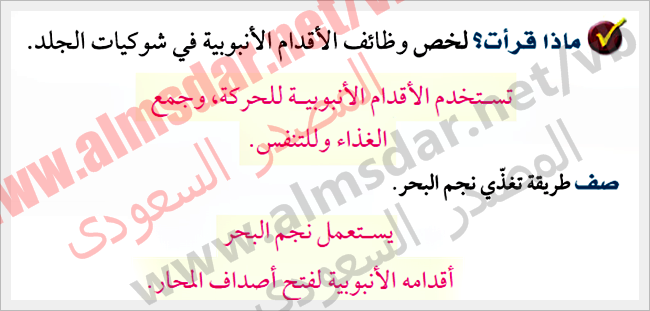 خصائص شوكيات الجلد