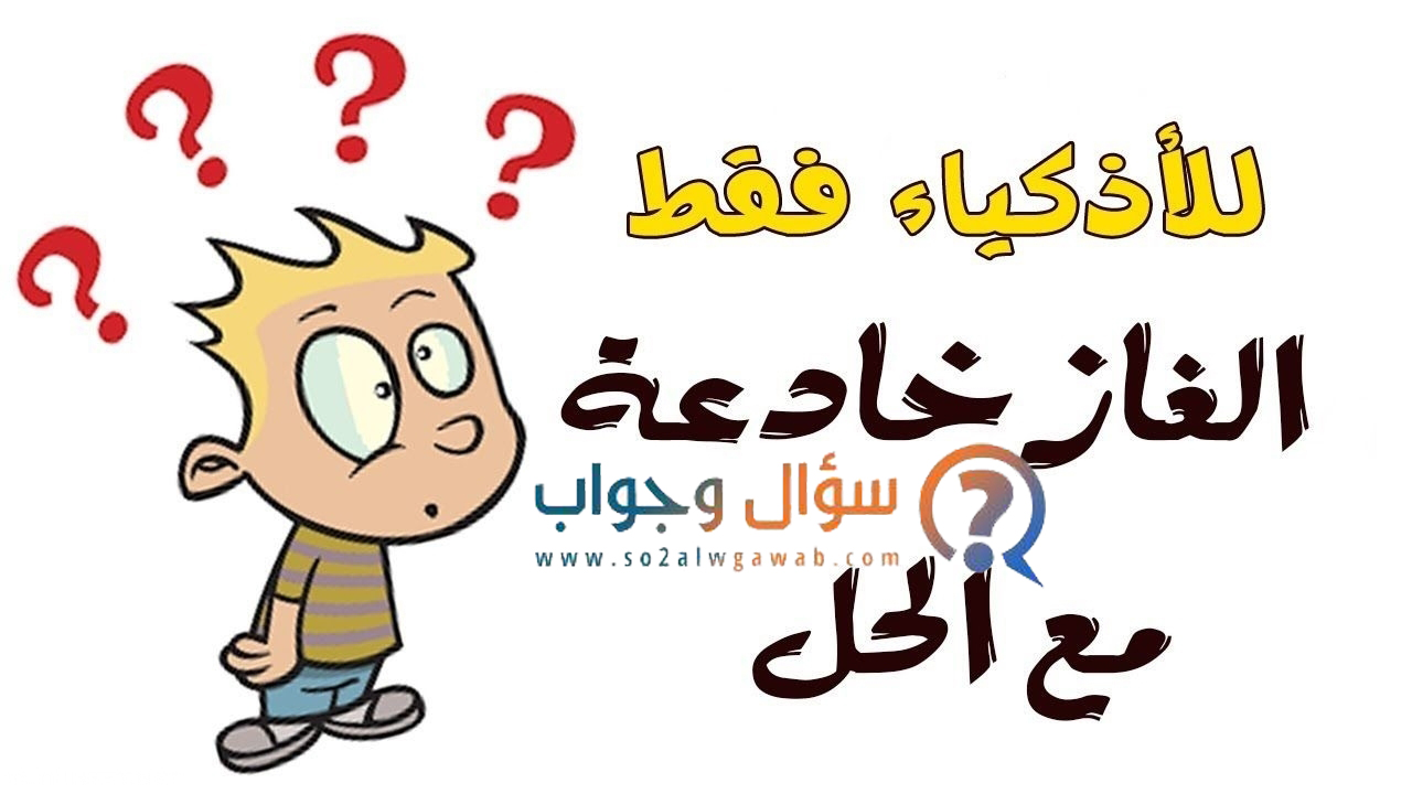 تصنف الطيور في السلسلة الغذائية التالية أعشاب حشرات طيور أفعى