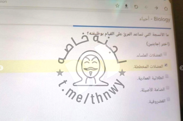 صورة