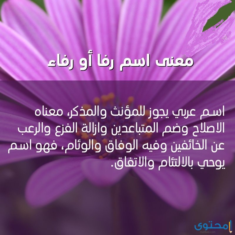 معنى اسم رافا