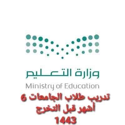 وزارة التربية والتعليم السعودية وخطة العام الدراسي المقبل ثلاثة فصول دراسية و 1443 مادة لطلبة الجامعة