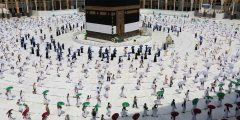 ارقام حملات الحج 1442