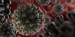 كورونا مرحلة أولى من الحرب البيولوجية