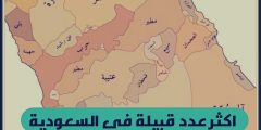 اكثر مجموعة قبيلة في السعودية