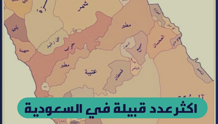 اكثر مجموعة قبيلة في السعودية