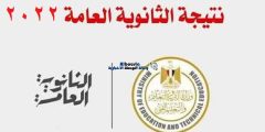 استعلم Now .. نتيجة الثانوية العمومية 2022 برقم الجلوس عبر بوابة الثانوية العمومية https://g12.emis.gov.eg/ علمي وادبي