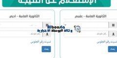 moe.gov.ye استعلام عن نتائج الثانوية العمومية 2022 اليمن عبر موقع وزارة التربية والتعليم اليمنية برقم الجلوس