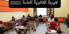 رابط موقع نتيجة الثانوية العمومية 2022 برقم الجلوس ونظام التظلمات عبر موقع وزارة التربية والتعليم الحقيقي