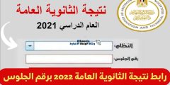 رابط نتيجة الثانوية العمومية 2022 برقم الجلوس والاسم موقع نتيجة الثالث الثانوي moe gov eg