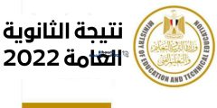 متاح الآن.. رابط نتيجة الثانوية العمومية 2022 بالاسم ورقم الجلوس عبر موقع وزارة التربية والتعليم moe.gov.eg