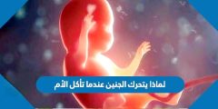 لماذا يتحرك الجنين عندما تأكل الأم