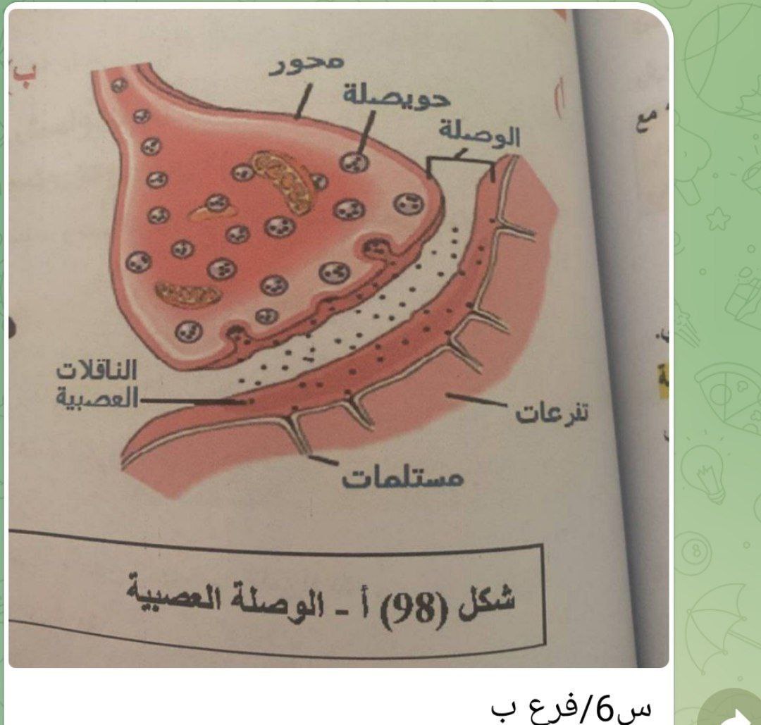 صورة