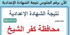 ظهرت الآن.. نتيجة الشهادة الإعدادية محافظه كفر الشيخ (رابط مباشر وطرق سريعة)