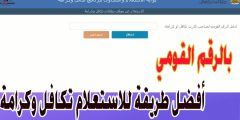 “رابط شغال” استعلام تكافل وكرامة بالرقم القومي للمتزوجة والأرامل والمطلقين 2023