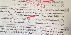 نموذج إجابة امتحان الفلسفة والمنطق للثانوية العامة 2023 مصر

أخبار أخرى