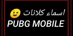 أحدث 350+ أسماء كلانات ببجي اسم كلان فورت نايت عربي وانجليزي غير مستخدم وجديد؟
