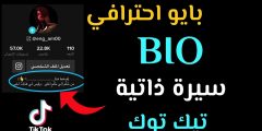 أفخم سيرة ذاتية للتيك توك 50 عبارة بايو للشباب والبنات؟