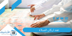 عدد اركان الصلاة.. ما الفرق بين شروط الصلاة أركان الصلاة؟ اركان الصلاة؟