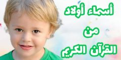 كتالوج أسماء أولاد من القرآن بترتيب الحروف؟