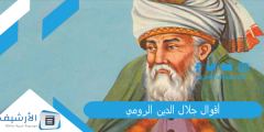 أقوال جلال الدين الرومي 15 عبارة مشهورة لجلال الدين الرومي؟