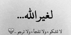 بوستات حكم قصيرة وجديدة – بوكسنل سعودية؟