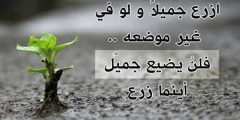 حكم قصيرة وجميلة ومميزة 2025 حكم قصيرة عن الحياة؟