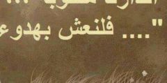 عبارات جميلة جداً وقصيرة 2025 أقوال جميلة وعبارات فخمة؟