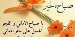 عبارات قصيرة عن الصباح 2025 صباح الخير يا وش الخير؟