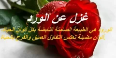 كلام غزل عن الورد 2025 أجمل كلمات الغزل؟