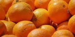 ما معنى رؤية أكل البرتقال في المنام؟؟