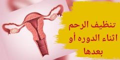 تجربتي في تنظيف الرحم بعد الدورة والطرق الفعالة؟