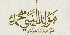 50 دعاء بمناسبة المولد النبوى الشريف 2024 دعاء المولد النبوي الشريف؟