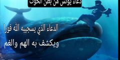 ما هو دعاء يونس في بطن الحوت؟ ردده عند الضيق؟