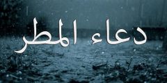 17  عبارات جميلة عن نزول المطر 2025؟