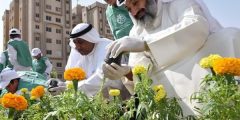 معلومات عن يوم التخضير في الكويت؟
