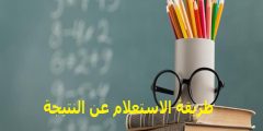 طريقة الاستعلام عن النتيجة 2025 موقع وزارة التربية والتعليم؟