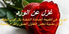 كلام غزل عن الورد وأجمل ما قيل في حب الورد الأحمر؟