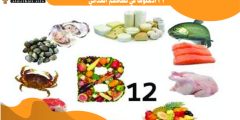 تحليل عالمي أطعمة غنية بفيتامين ب 12أدخلوها في نظامكم الغذائي