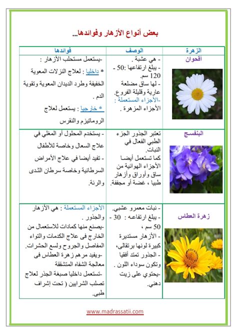 دليل اسماء الزهور: